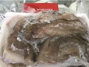 近年飛速發展的海鮮水產包裝技術